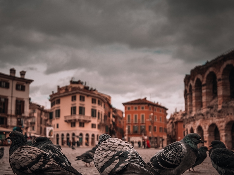Βερόνα-Ιταλία-ταξίδι-diontours.com